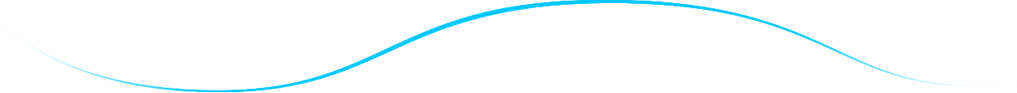 line-advisers-roudmap